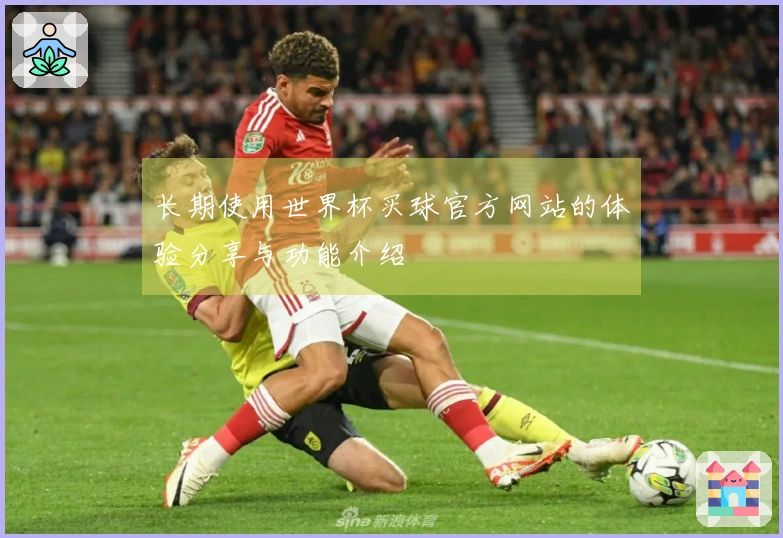 长期使用世界杯买球官方网站的体验分享与功能介绍