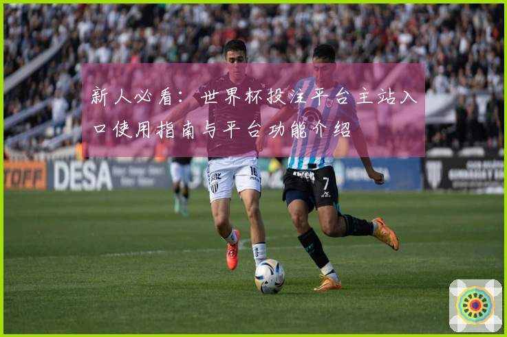 新人必看：世界杯投注平台主站入口使用指南与平台功能介绍