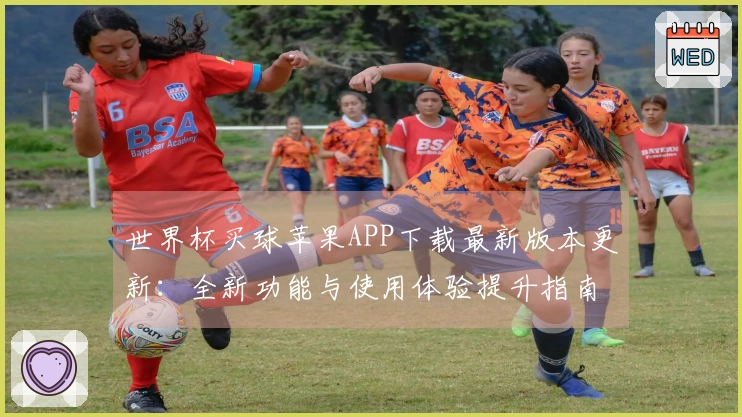 世界杯买球苹果APP下载最新版本更新：全新功能与使用体验提升指南