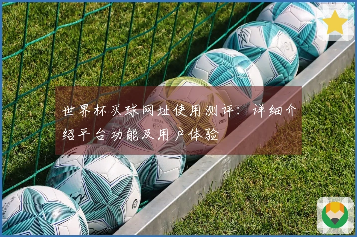 世界杯买球网址使用测评：详细介绍平台功能及用户体验