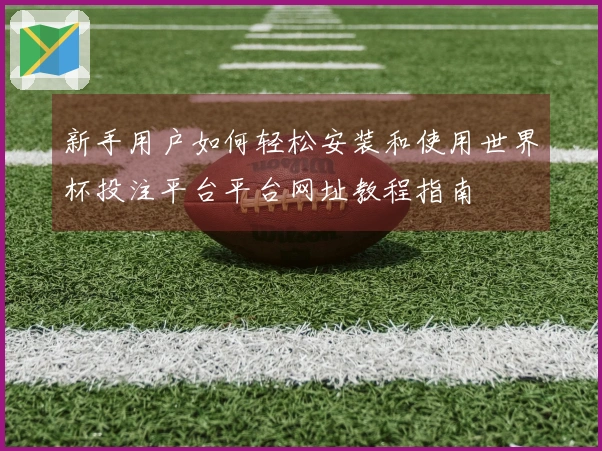 新手用户如何轻松安装和使用世界杯投注平台平台网址教程指南