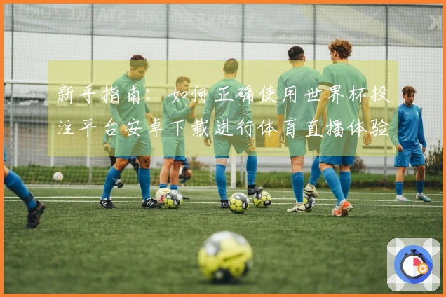 新手指南：如何正确使用世界杯投注平台安卓下载进行体育直播体验