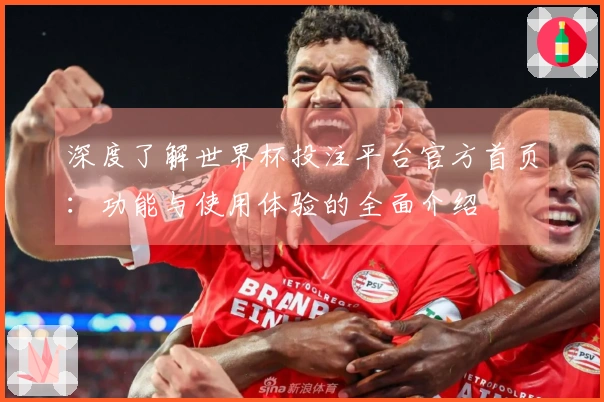深度了解世界杯投注平台官方首页：功能与使用体验的全面介绍