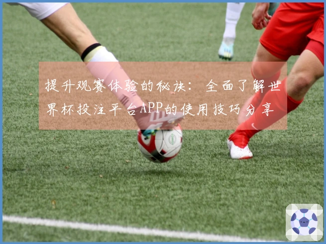 提升观赛体验的秘诀：全面了解世界杯投注平台APP的使用技巧分享