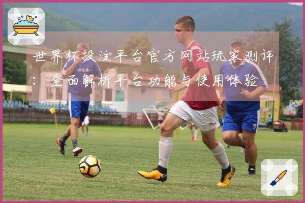 世界杯投注平台官方网站玩家测评：全面解析平台功能与使用体验