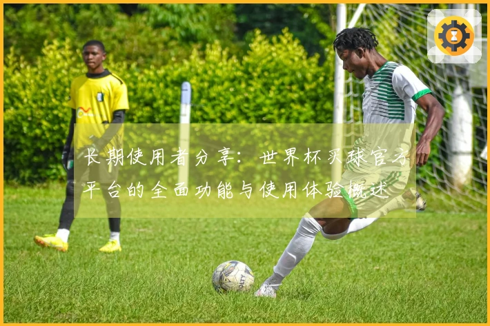 长期使用者分享：世界杯买球官方平台的全面功能与使用体验概述