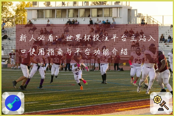 新人必看：世界杯投注平台主站入口使用指南与平台功能介绍