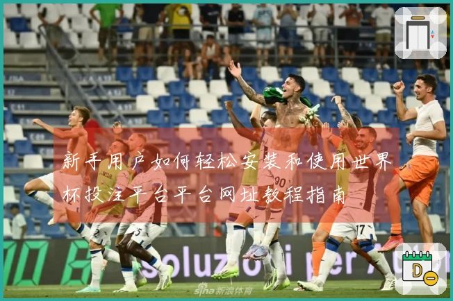 新手用户如何轻松安装和使用世界杯投注平台平台网址教程指南