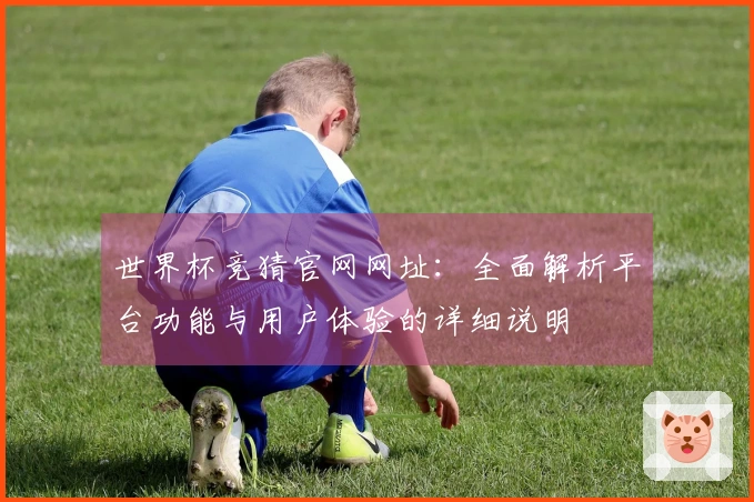 世界杯竞猜官网网址：全面解析平台功能与用户体验的详细说明