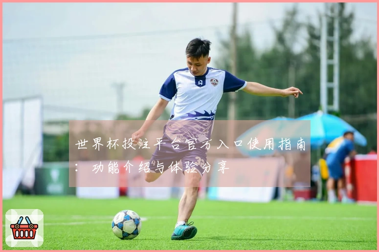 世界杯投注平台官方入口使用指南：功能介绍与体验分享
