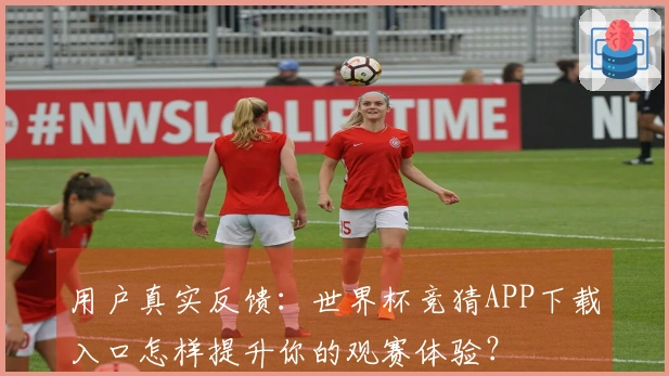 用户真实反馈：世界杯竞猜APP下载入口怎样提升你的观赛体验？