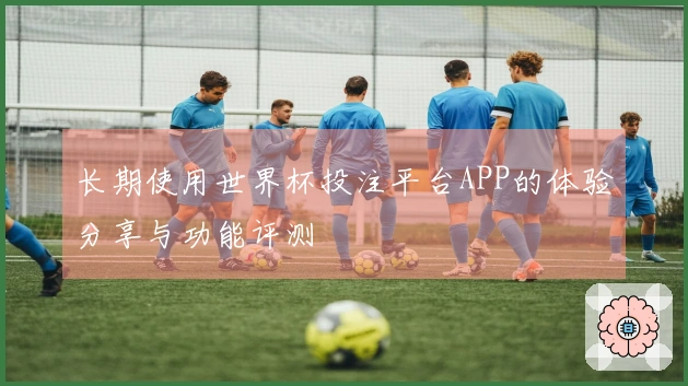 长期使用世界杯投注平台APP的体验分享与功能评测