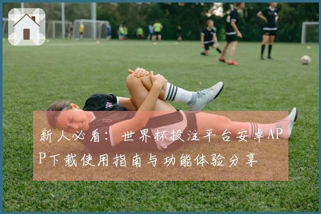 新人必看：世界杯投注平台安卓APP下载使用指南与功能体验分享